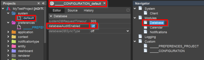 database_audit_enabled