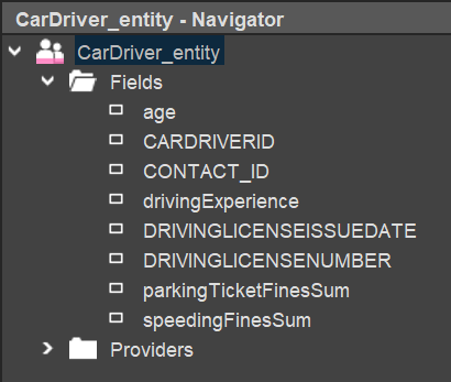 EntityFields of CarDriver