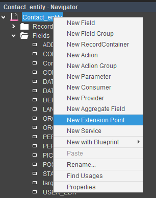 Creating an Extension Point at entity level