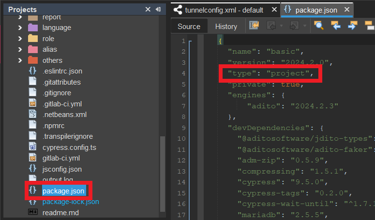 package.json transpile