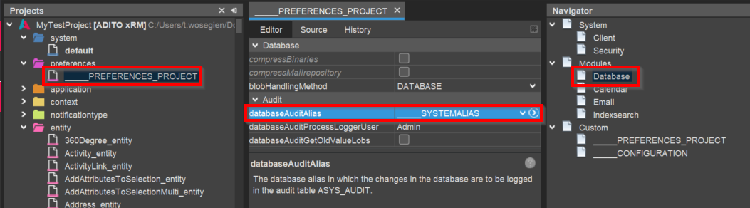 preferences_audit_enabled