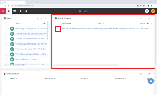 Assigned systems in SSP